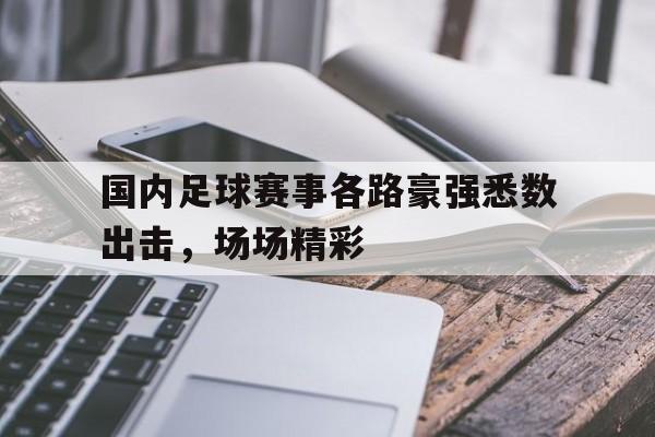 国内足球赛事各路豪强悉数出击，场场精彩